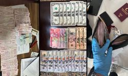12 ilde FETÖ operasyonu: 80 gözaltı