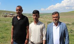 Aksaray'da 'ithal çoban' dönemi