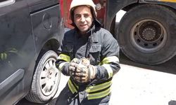 Aracın motoruna sıkışan kedi kurtarıldı