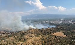 Aydın'da tarım arazisinde yangın