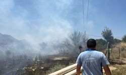 Bodrum'da maki yangınında 1 dekar alan zarar gördü