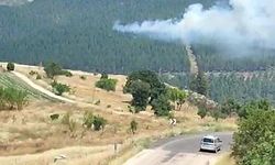 Bursa'da orman yangını