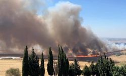 Büyükçekmece'de buğday tarlasında yangın-2 / Ek bilgi