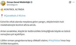 Çanakkale'de bozuk ormanda yangın (2)