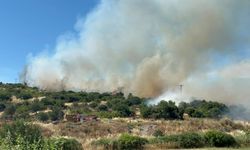 Çanakkale'de bozuk ormanda yangın
