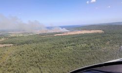Çanakkale'de orman yangını (2)