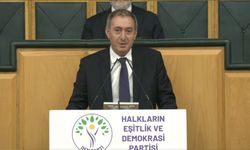 DEM Parti'li Bakırhan: Meclis kapanmadan çerçeve yasa kesinlikle çıkarılmalı