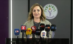 DEM Parti'li Doğan'dan 'Terörsüz Türkiye' süreci açıklaması
