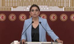 DEM Parti'li Koçyiğit: Barışın hukuksal bir güvenceye ihtiyacı var