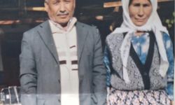 Duvara çarpan otomobildeki yaşlı çift öldü