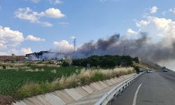 Edirne'de katı atık bertaraf tesisinde yangın