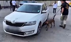 Hakkari'de otomobilde 28,2 kilo uyuşturucu ele geçirildi; kamu görevlisi tutuklandı
