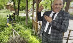 Kırılan daldaki karga yuvası özenle başka dala nakledildi