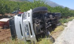 Malatya'da tavuk yüklü kamyon devrildi