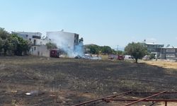 Manisa'da ot yangını sonrası taşlı sopalı kavga: 6 gözaltı