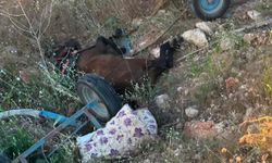Minibüs, at arabasına çarptı: 1 ölü, 1 ağır yaralı