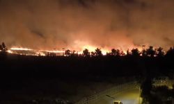Nusaybin'de sınırdaki mayınlı araziye ulaşan anız yangını 3 saatte söndürüldü