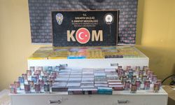 Sakarya'da kaçakçılık operasyonlarında 3 gözaltı
