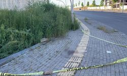 Sivas'ta inşaat işçisi, baltayla 3 kişiyi ağır yaraladı