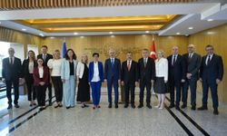 Türkiye-Avrupa Birliği Bağlantısallık Platformu 2'nci Toplantısı gerçekleştirildi
