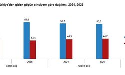 Yurt dışından Türkiye'ye 393 bin 829 kişi göç etti