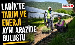 Ladik GES'te Tarım ve Enerji Bir Arada