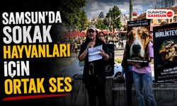 Samsun'da Sokak Hayvanları İçin Ortak Ses