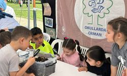267 okula 'Orman bayrağı'; İstanbul ilk sırada