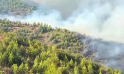 Alanya'da orman yangını (2)