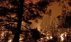 Alanya'da orman yangını (4)