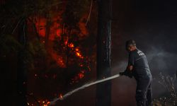 Alanya'da orman yangını (5)