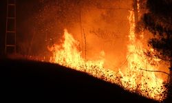 Alanya'da orman yangını / Ek Fotoğraflar (3)