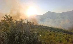 Alanya'da orman yangını / Ek fotoğraflar
