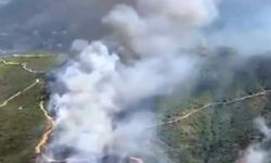 Alanya'da orman yangını