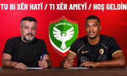 Amed Sportif Faaliyetler, Fransız kaleci Lafont'u kadrosuna kattı