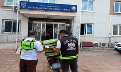 Araçlarından inip trafikte kavga eden sürücülere 362 bin TL para cezası