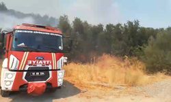 Balıkesir'de orman yangını (2)