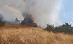 Bingöl'de ormanlık alanda çıkan örtü yangını söndürüldü