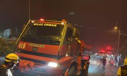 Bodrum'da maki ve otluk yangını (2)