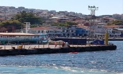 Botla denizde sürüklenen genci Sahil Güvenlik ekiplerinin kurtardığı anlar kamerada