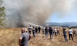 Bursa'da, anız yangınında 3 dönüm alan zarar gördü