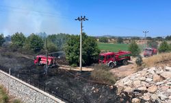 Çanakkale'de ot yangını 1 saatte kontrol altına alındı