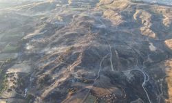 Çanakkale'deki orman yangınında yanan alanlar dronla görüntülendi