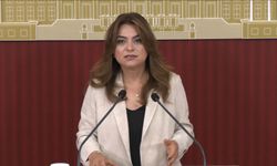 DEM Parti'li Koçyiğit: Çerçeve yasanın Meclis kapanmadan çıkacağına dair bilgiyi teyit edebilirim