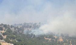 Diyarbakır'da örtü yangını