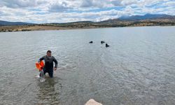 Düşen oltasını almak için girdiği gölette boğuldu