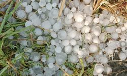 Edirne'de kuvvetli sağanak etkili oldu / Ek fotoğraflar