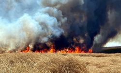 Ekili tarla ve anız yangınları üreticiyi zora sokuyor; 'halkımız duyarlı olmalı'
