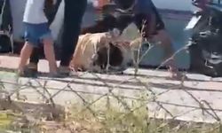 Elinde bıçakla yere yatırdığı eşini dövdü