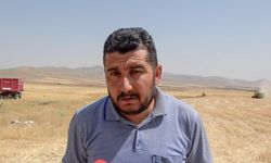 Hububatta, Cumhuriyet tarihinin en yüksek rekolte beklentisi